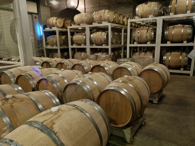 🍇 Wines with a View: A Sip of Furano’s Charm
