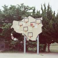 เที่ยวเกาะศิลปะ Naoshima & Teshima ผ่านกล้องฟิล์ม