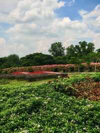 🍓 Farm Fresh @ UPM – A Fun & Fresh Escape from the City! 🐄🌾