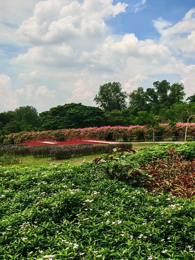 🍓 Farm Fresh @ UPM – A Fun & Fresh Escape from the City! 🐄🌾