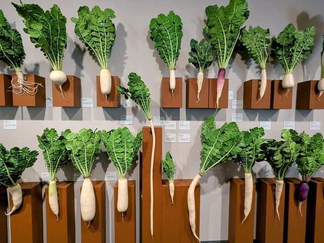 京都 | 「和食」特展---日本自然與人民的智慧