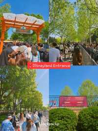 Day 4 ก็มาถึง Disney Shanghai เรามากันแล้วนะ 🏰