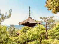 🍁 Solo Serenity: Jōjakkō-ji Temple – Kyoto’s Hidden Mossy Sanctuary
