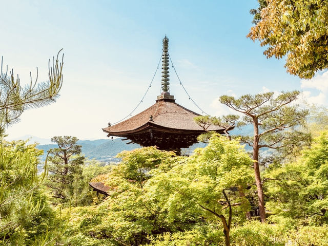 🍁 Solo Serenity: Jōjakkō-ji Temple – Kyoto’s Hidden Mossy Sanctuary