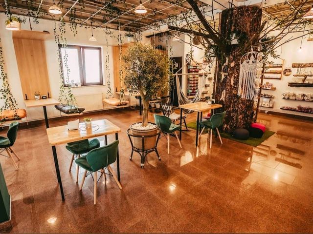 수체아바의 감각적인 여행: Palo Santo Shop Bar & Coffee Hub