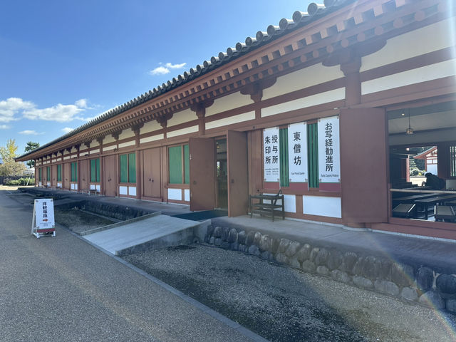 藥師寺：奈良的佛教瑰寶，探尋古代醫療與文化的交融！