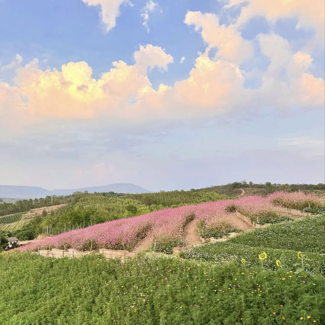 Donghouse Khaoyai — คาเฟ่บนเนินเขาวิว 360° 🌄🏡