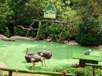Vinpearl Safari Fun