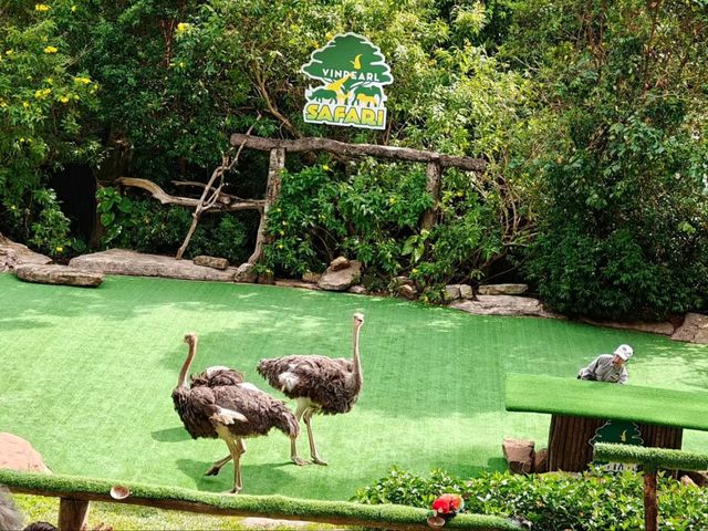 Vinpearl Safari Fun