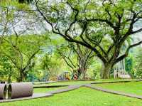 A green sanctuary in the city 🌆 👫😎❤️