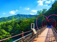 Whispers of Nature: A Walk Through Hwadam Forest