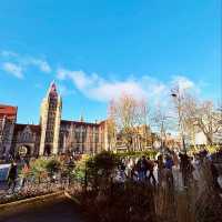 The university of manchester