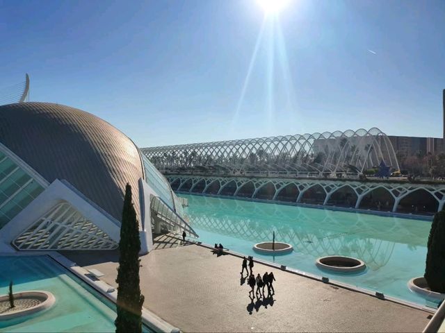 The Umbracle is a Whole Mood 