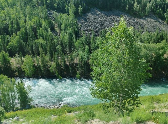 Shuttle Bus to Visitor Center Required Upon Entering Scenic Area