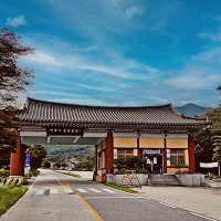 Hamyang Yongchugyegok Valley: Korea’s Secret Emerald Paradise – A Solo Hiker’s Dream"** 🌿💦