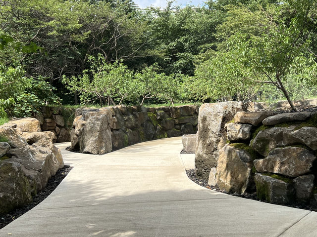 돌과 빛의 숲