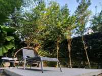 Minimalism, Light & Quiet Moments – A Hidden Gem Stay at Lloyd’s Inn Singapore