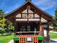 【上賀茂神社】京都最古の神社で心清める⛩️神聖な空気に包まれる癒しの旅