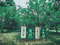 Yunji Ecological Park