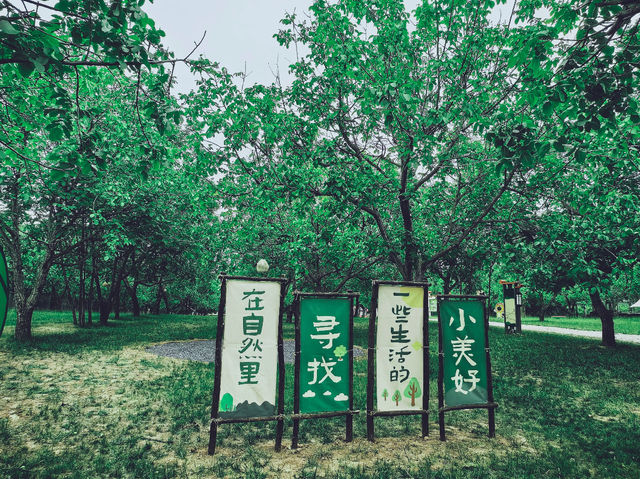 Yunji Ecological Park
