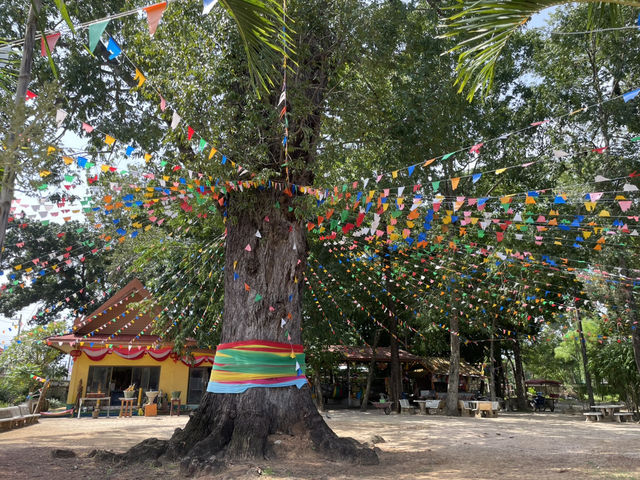 ต้นตะเตียนคู่