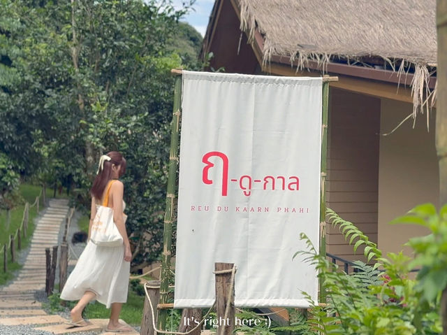 🌿 รีวิวที่พัก “ฤดูกาล ผาฮี้” บนดอยผาฮี้ เชียงราย