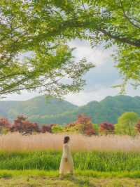 사랑 가득한 여행 하기 좋은 힐링 도시 화천🌿