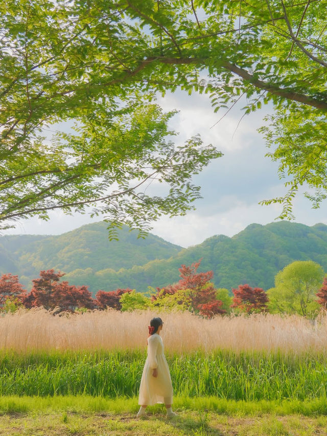 사랑 가득한 여행 하기 좋은 힐링 도시 화천🌿