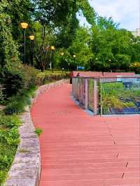 ✨ “City Oasis: Changshou Park’s 24/7 Urban Sanctuary”