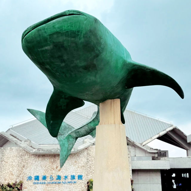 Churaumi Aquarium: A Solo Diver’s Odyssey into Okinawa’s Blue Abyss"** 🐋🌊