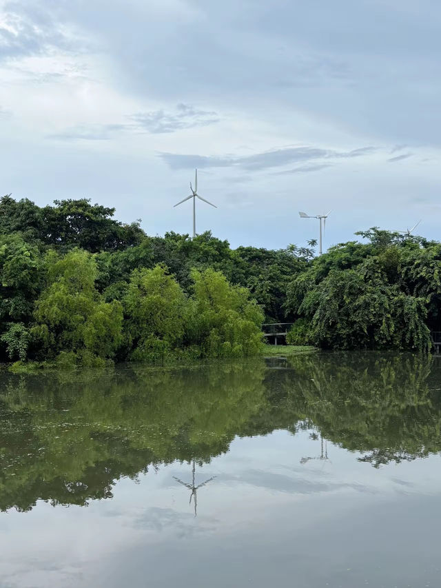 สวนดอกไม้เมืองหนาวระยอง PTTLNG