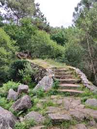 Fresh Dips and Forest Vibes at Piscinas Naturales