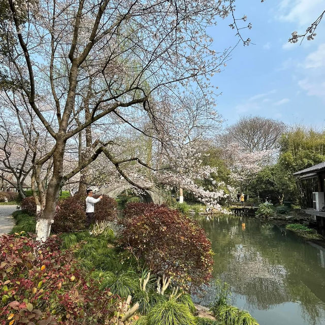 🌅 West Lake (西湖): A Grand Stage of Nature and Culture