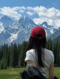 🌿 Xinjiang Can Heal Everything