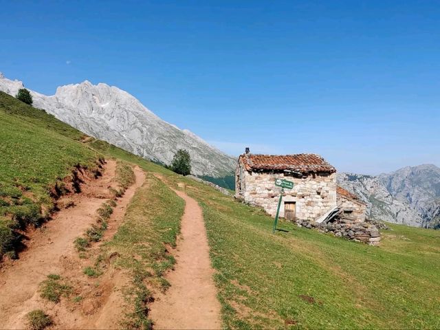 Rolling Hills and Cow Bells at Collado de Pandébano