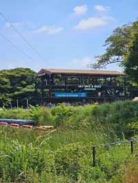 「森を走る列車で、自然のワンダーランドへ🚂🌿 Ecoland