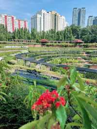 Laman Iskandar Puteri: A Floral Paradise in the Heart of Nature