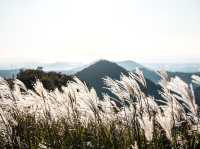 하늘을 걷는 순간, 제주에서 인생샷 날리다 🌾🏔
