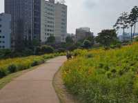 A relic from the Joseon Dynasty, Heungjinmun