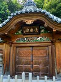 A Relaxing Walk Through Tokyo’s Garden and Cultural Highlights