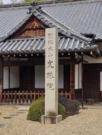 🏯 나라현 – 아베몬주인