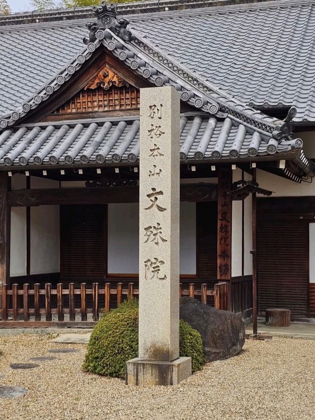 🏯 나라현 – 아베몬주인