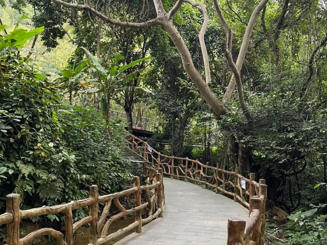 🌊 Detian Transnational Waterfall (德天跨国大瀑布) – A Natural Wonder Shared by Two Nations! 🌊 Detian Transnational Waterfall (德天跨国大瀑布) – A Natural Wonder Shared by Two Nations!
