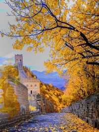 Four seasons of Great Wall 🌸🍃🍁❄️