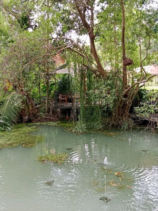 เพื่อนสวนฟาร์ม คาเฟ่ จังหวัดระยอง