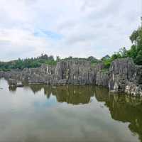 Getting Lost in the Wild Shapes of Shilin Stone Forest
