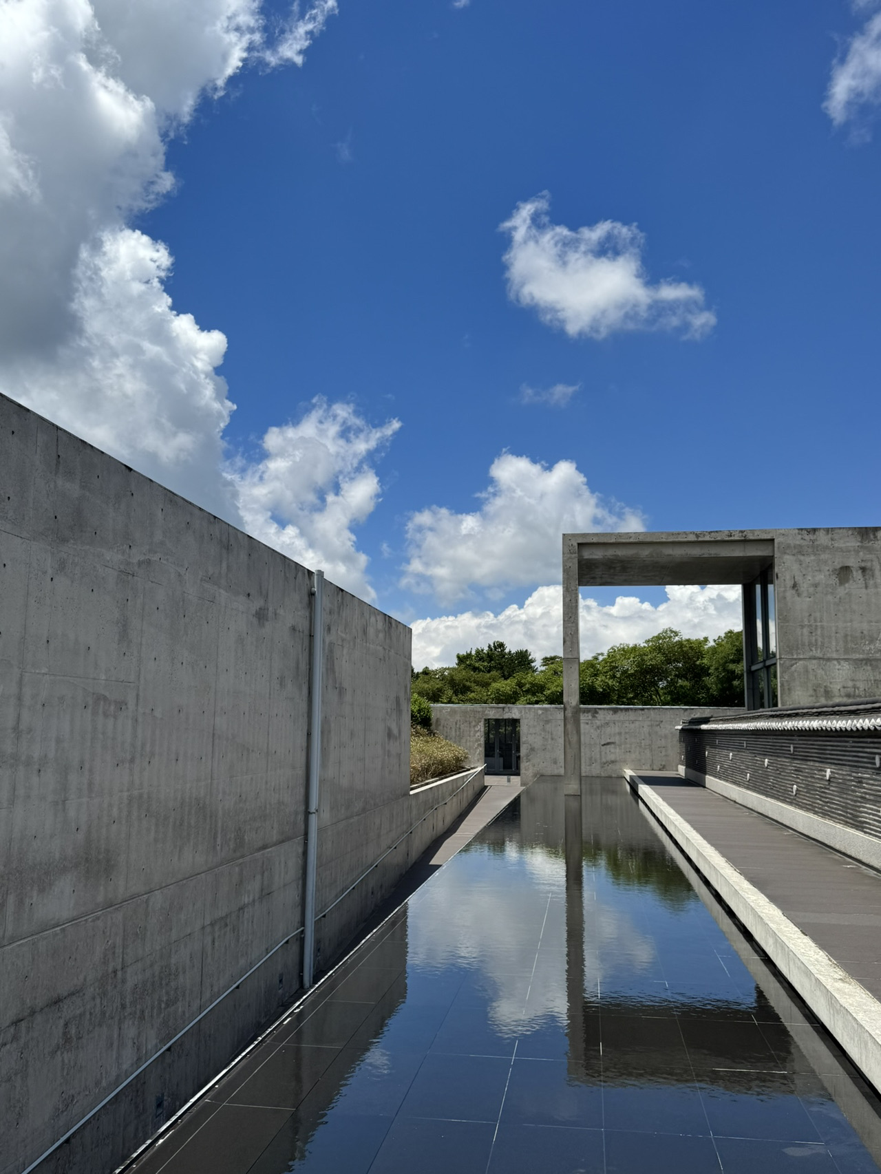 Jeju Bonte Museum: A great place to visit on rainy days | Trip.com Seogwipo