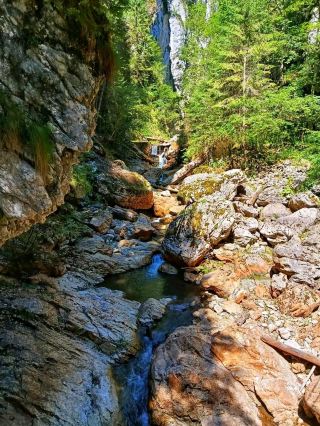 🏞 Cheile Zănoagei – Nature’s Hidden Masterpiece in Romania 🌲