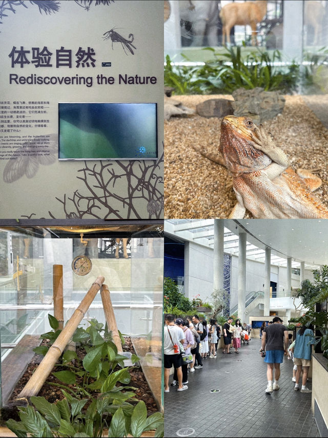 เดินเล่นในดงสัตว์ดึกดำบรรพ์ขนาดเท่าตัวจริง 🦕