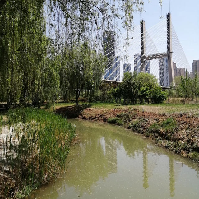 🌿 Yintan Wetland Park — Nature’s Calm by the Sea
